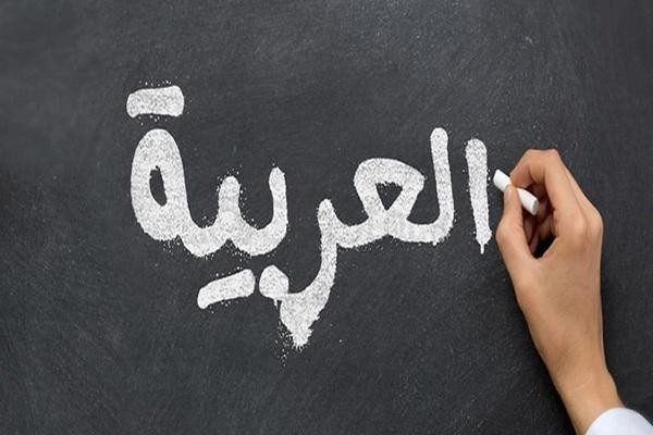 چرا یادگیری زبان عربی یک سرمایهگذاری ارزشمند است؟